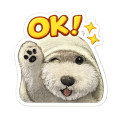 Kensuke_20260315214627