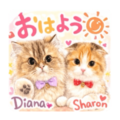 jyukamakes_20260315214313