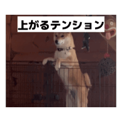 takachan_20260316001626