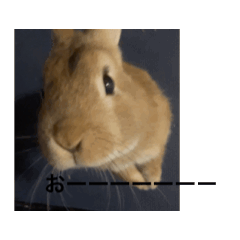 ryuuu_20260316074454