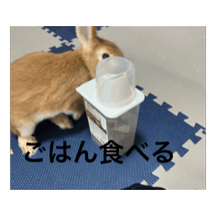 ryuuu_20260316074549