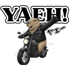 KATSUkoubou_20260311104344