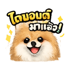 Oiinn_20260315132524