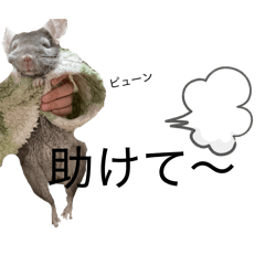 kaede_20260315221138