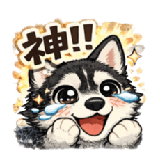 yurika_20260315221117