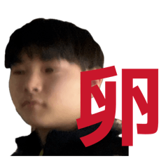 RINGO_20260312184652