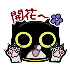黑貓福咪超可愛