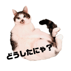 512_20260315161702