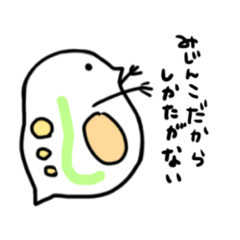 mizinko_20260315193556