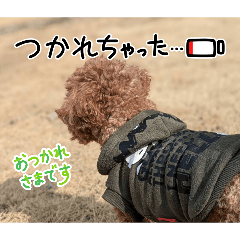 shino_20260315205153