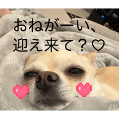 hinase_20260315203911