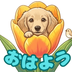 Hakuchan the Dachshund: Spring Vibes