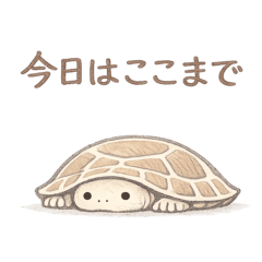 Surreal Tortoise Stickers