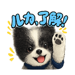 ワンコルカちゃんスタンプ