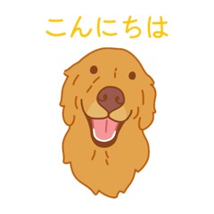 Chien Dore_20260313195127