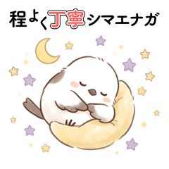 Moderately Polite ShimaEnaga Stickers (J