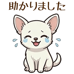 Cute Dog Shirochiva Business Stickers2