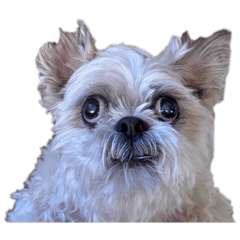 big Fortune_20260315213436