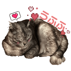 yuyuyu_20260313200537