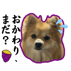 irichan_20260315162755