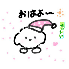 meipi_20260315162816