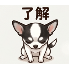 kuromame_20260315230907