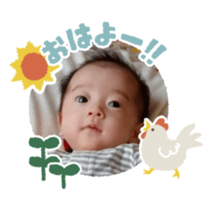 KATURA_20260315175109