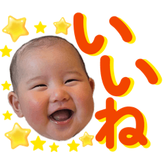 rinrinrin_20260316001923