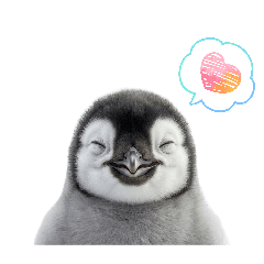 simejiiiii_20260315165400