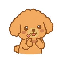 Fluffy Poodle Reactions