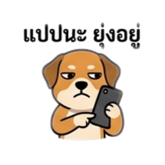 Dog stir bro