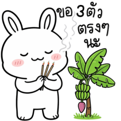 ปุยฝ้าย กระต่าย ใช้ได้ทุกวัน 3_26