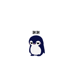 Lilly_20260311174807