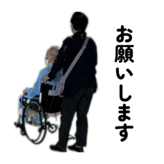 marimo_20260316040212