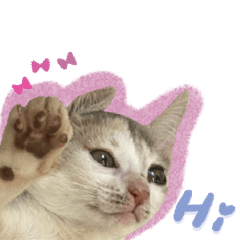 調皮搗蛋小蛋花