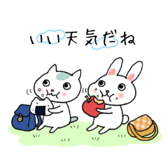 Spotted Cat Mosuke Daily Life