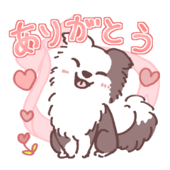 Border collieSticker