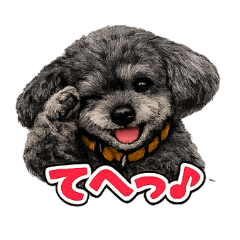 Asayake no Sora_20260314070857