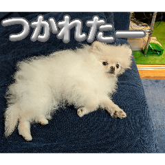 nayuta_20260315211946