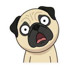 Pug Pipi: I'm Not Ugly!