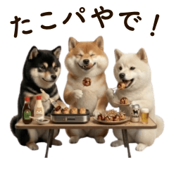 Chubby 3D Shiba 5 [Kansai Dialect]