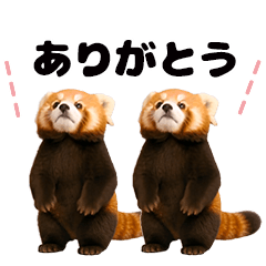 Synchro! Red panda babys