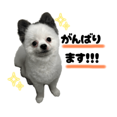 m.mam_20260316101342