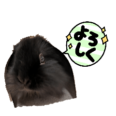 tamago_20260314112129