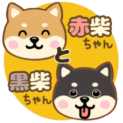 赤柴ちゃんと黒柴ちゃん