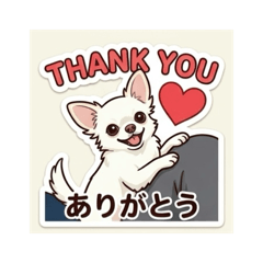 ToMoKiChi_20260314125023