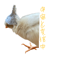 Risa_20260314123438