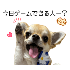 Coco mama_20260315220453