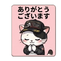 Seiju_20260311121124