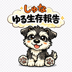 Schnauzer Casual Status Updates